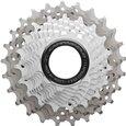 Campagnolo Record 11-Speed Cassette