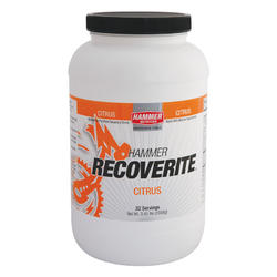 Hammer Nutrition Recoverite (32-serving)