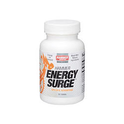 Hammer Nutrition Energy Surge