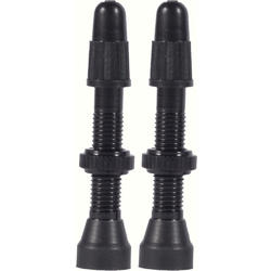 WTB TCS AL 34mm Valve Stems